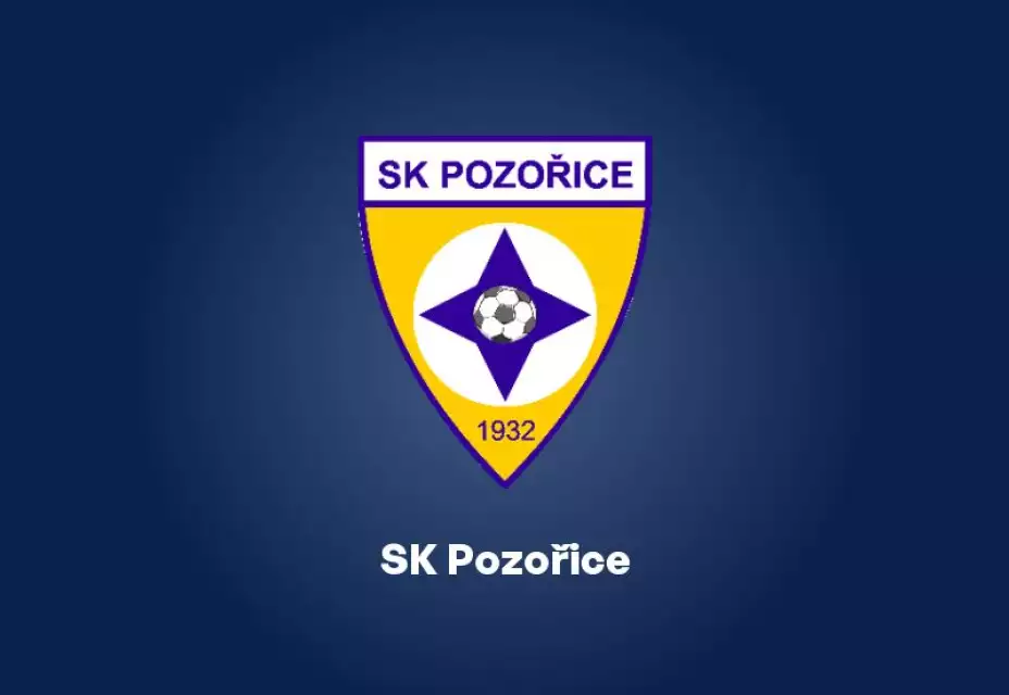 Vin. Šumice : SK Pozořice 1:3 (0:2)